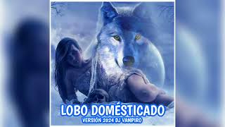 🌑 quotLOBO DOMESTICADOquot 🌑 Salsa Version 2024 Éxito Dj Vampiro Limpia  🌑🦇🌑 [upl. by Washburn]