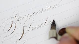 Beginner Spencerian Online Course Open for Registration at ConnieChencom [upl. by Anah]