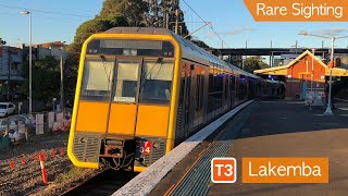 Transport for Sydney Vlog 292 Lakemba Trainspotting  A Rare Sighting [upl. by Dorin941]