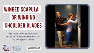 Winged Scapula or Winging Shoulder Blades with Dr Evan Osar [upl. by Kcub]