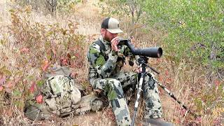 Zeiss Conquest Gavia 85 Spotting Scope Review by Elk Addicts HD [upl. by Mendive]