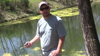 DIY Pond Aerator Using Septic Pump [upl. by Amato]