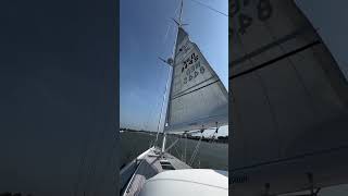 Continuous pro  furlingboom mainsail xyachts shorts [upl. by Erodeht945]