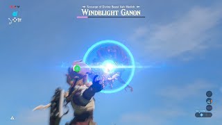 How to Kill WindBlight Ganon in Master Mode  Zelda Breath of the Wild [upl. by Elocal114]