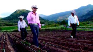 Los Libertadores del Norte  master producto garantizado1 [upl. by Grimbald]