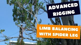 Spider leg rigging  Tree rigging techniques [upl. by Epillihp340]