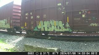 240714 South Facing Bakyard Railcam [upl. by Minny]