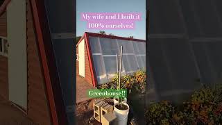 Top notch green house homesteading greenhouse selfsufficent tractor farming homegrown [upl. by Maibach]