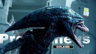 Prometheus 2012 Full Story Explained with Ending Explanation in Hindi  Urdu Filmy Session [upl. by Ichabod39]