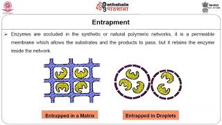 M10Immobilization of enzymes [upl. by Eilrak]