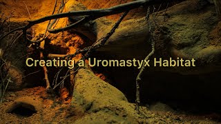 Creating a Uromastyx Habitat 🏜️ [upl. by Idnir]