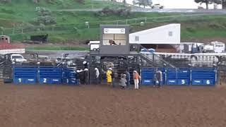 Rodeo in Meeker Colorado [upl. by Egas]