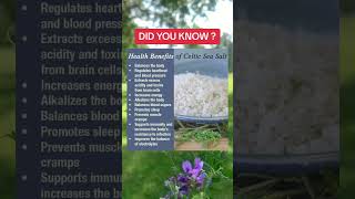 Celtic Sea Salt Benefits Nutrition MineralRich [upl. by Aita]