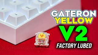 NEW Gateron Yellow GPro V2 Switches  Tofu65 [upl. by Kurzawa]