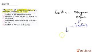 If by radiation all nitrogenase enzymes are inactivated then there will be no [upl. by Verile451]