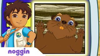 Lets Learn About Beavers w Diego  Noggin [upl. by Elokkin]