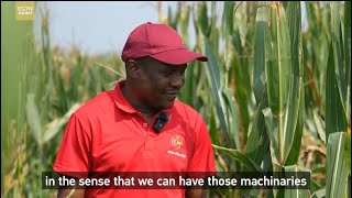 Des étudiants apprennent les techniques agricoles chinoises pour autonomiser lAfrique [upl. by Hayifas]