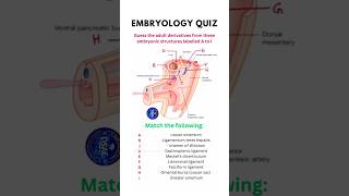 Embryology Quiz by Dr SAM shorts anatomyquiz matchthefollowing [upl. by Emelyne]