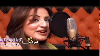 Khandani Jawargar Song 12  Pashto New HD SongsPushto New HD Film2017  Jahangir KhanShahid Khan [upl. by Nojram]