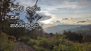 මෝඩ තලය සහ කපටි තලය [upl. by Animahs]