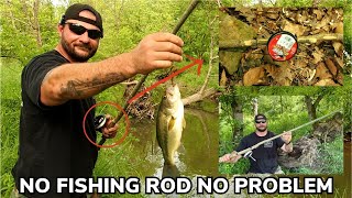 Catch More Fish with a DIY Fishing Pole from the Landscape [upl. by Burrow645]