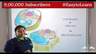 Cytoplasm and Protoplasm  Difference  Cells  Class 6  CBSE  NCERT  ICSE [upl. by Heinrick]