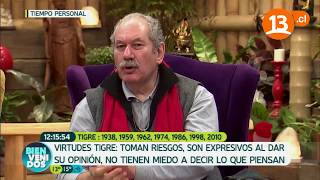 Horóscopo chino Virtudes y defectos de TIGRE  Pedro Engel [upl. by Nolrah]