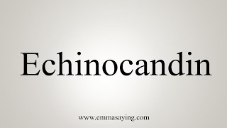 How To Say Echinocandin [upl. by Boarer959]