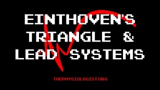 Einthovens Triangle and the 3 Lead Systems [upl. by Melgar]