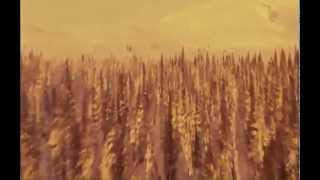 KD Lang  Barefoot Salmonberries Movie [upl. by Haidebej]