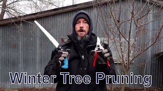 Pruning A Plum Tree In The Snow [upl. by Thant]