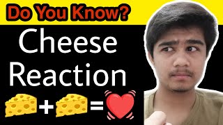 Cheese Reaction  Tyramine Hypertensive Crisis  Cheese Reaction Pharmacology [upl. by Ambrosane]