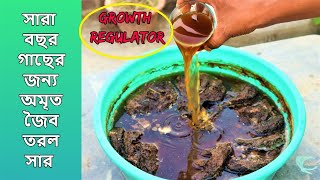 সারা বছর গাছের ফুল ফলের জন্য জাদুকরী জৈব তরল সার  Home made natural Gibberellic acid for plants [upl. by Haldan30]