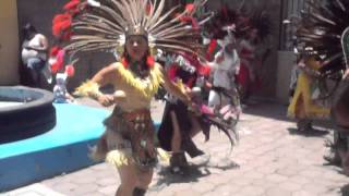 danza azteca guadalupana [upl. by Orsay991]