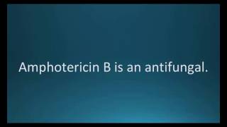 How to pronounce amphotericin B Fungizone Memorizing Pharmacology Flashcard [upl. by Cohen562]