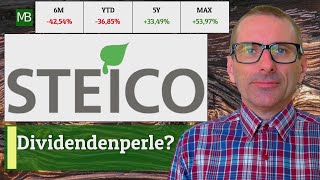 Steico SE Aktie  Dividendenperle mit starkem Wachstum [upl. by Noied]