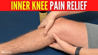 How to Relieve Inner Knee Pain in SECONDS [upl. by Kerin717]