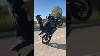 Mt09 wheelie💙 foryou fyp parati bike bikelife trending viralvideo [upl. by Auoy]