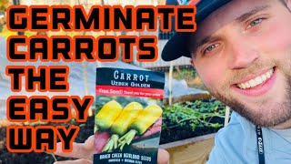 🥕 EASY Way to Germinate Carrot Seed Using the Board Method [upl. by Adihsaar]