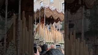 religion procesion fe procesiones sevillaacofradiera sevilla spirituality love virgo [upl. by Maryjane]