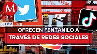 Empresas chinas venden precursores para producir fentanilo a través de redes sociales [upl. by Emsmus]