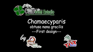 Chamaecyparis obtusa nana gracilis [upl. by Kitty]