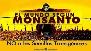 quotEL MUNDO SEGÚN MONSANTOquot  Documental completo doblado al Español [upl. by Ahsuatal]