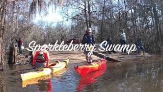 Lake Marion Kayaking [upl. by Nawak]