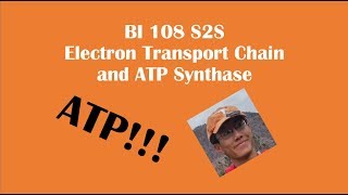 Oxidative PhosphorylationElectron Transport ChainATP Synthase Review BI 108 [upl. by Nereil]