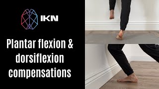 Plantar flexion amp Dorsiflexion Movement Compensations [upl. by Naresh]