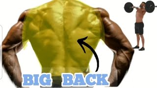 6 Big Back Exercises backworkout workouthome back workout [upl. by Prochora557]