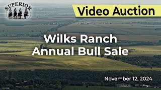 Wilks Ranch Annual Bull Sale [upl. by Hterrag]