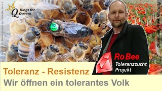 Keine Milben  Blick in die Beute wir öffnen ein Varroa Tolerantes unbehandeltes Bienenvolk [upl. by Latin540]