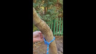 Master Essential Rope Knots for Everyday Life A Guide [upl. by Stoops]